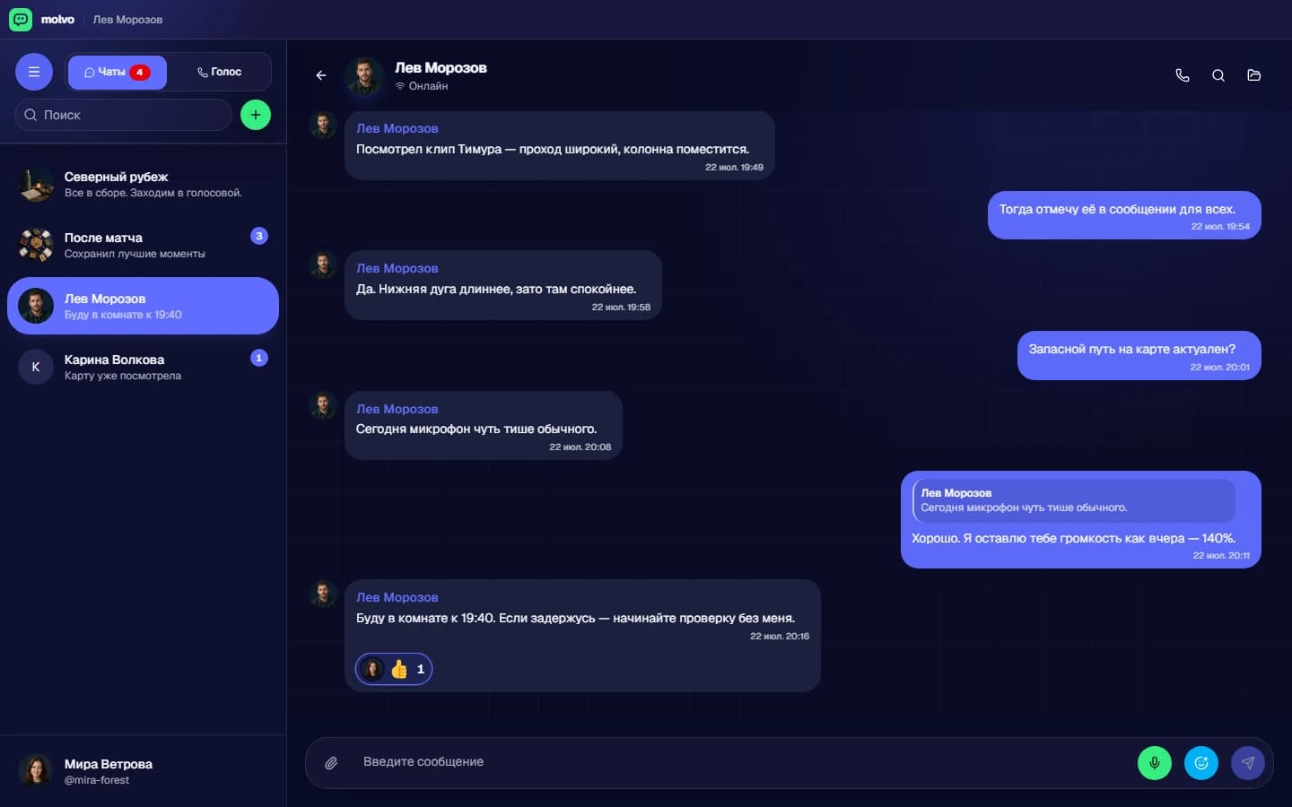 Интерфейс Molvo: Чем заменить Discord для общения с друзьями и командой